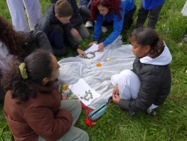 24 Arobase 3 071.jpg